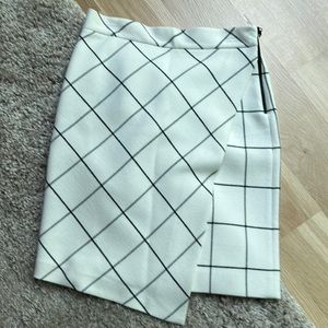 Zara winter/fall skirt